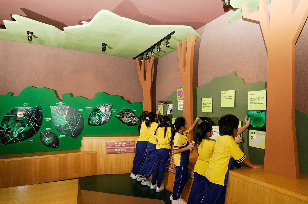 在花蓮池南國家森林遊樂區慢慢散步,看陽光穿過森林步道與遠方鯉魚潭的安靜水色