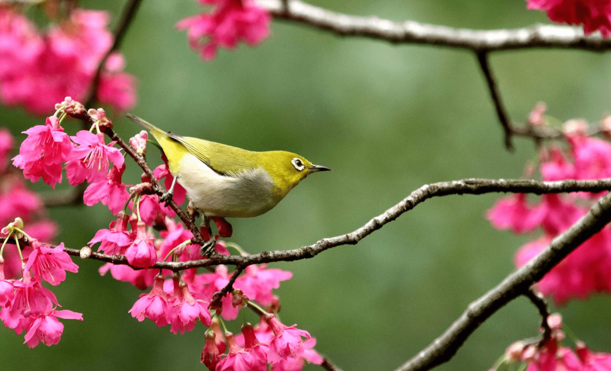 在花蓮池南國家森林遊樂區慢慢散步,看陽光穿過森林步道與遠方鯉魚潭的安靜水色