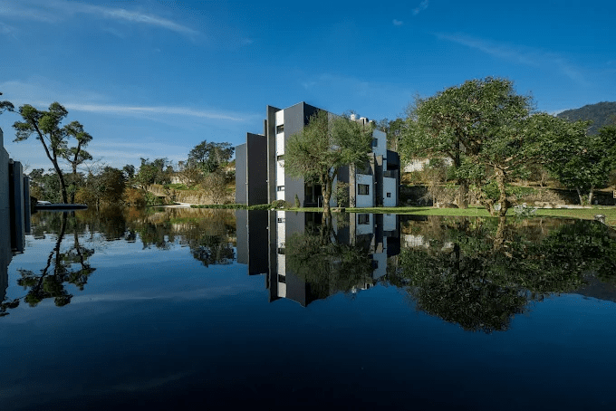 把週末交給宜蘭星夢森林劇場，在大自然裡陪孩子和動物們握握手