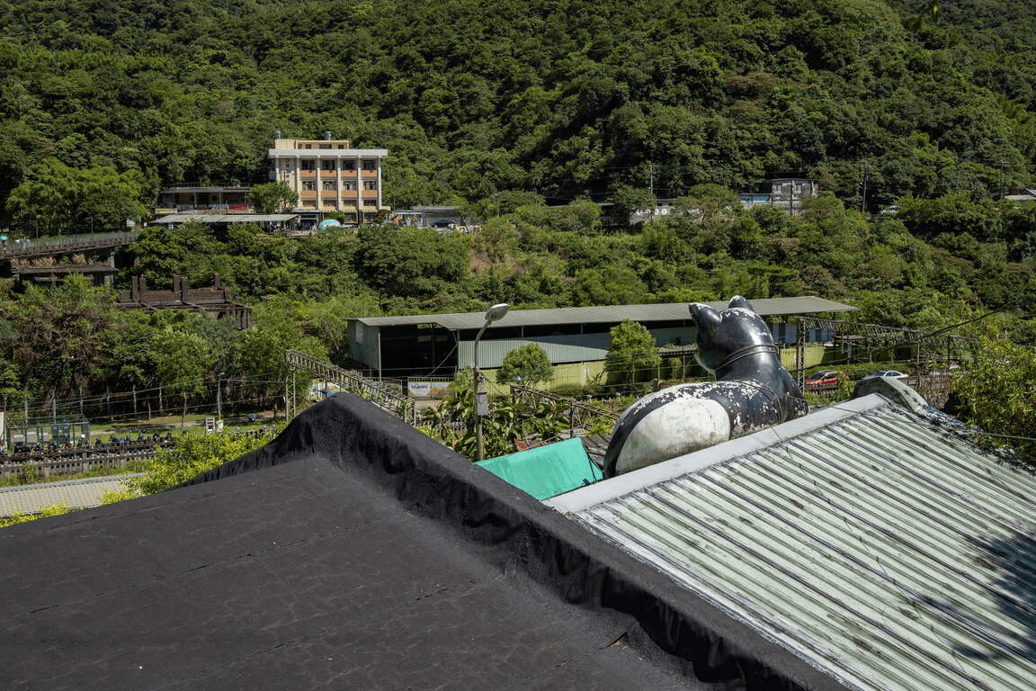 在新北猴硐貓村散步時，看著貓咪在小巷穿梭，旅程自然慢了下來