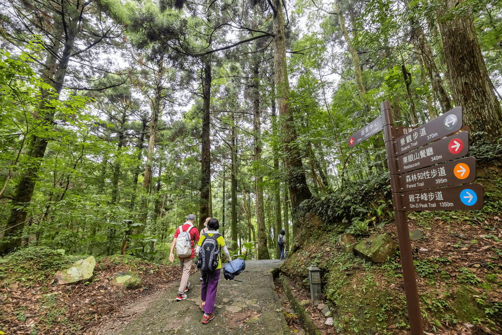 趁著季節轉涼走到桃園楊梅的麗多森林溫泉酒店，讓森林與溫泉陪你過一個真正放鬆的假期