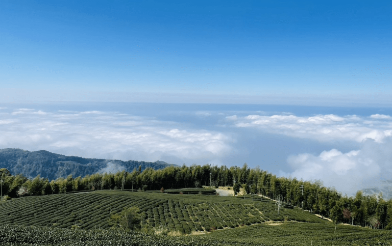 那些在雲林遇見的風景，輕聲說故事的地方，五個景點帶你讀完它的一天