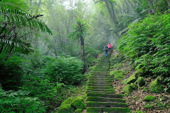 從平溪孝子山步道起登一路貼著岩壁向上，在微風與雲影之間打開整片山景