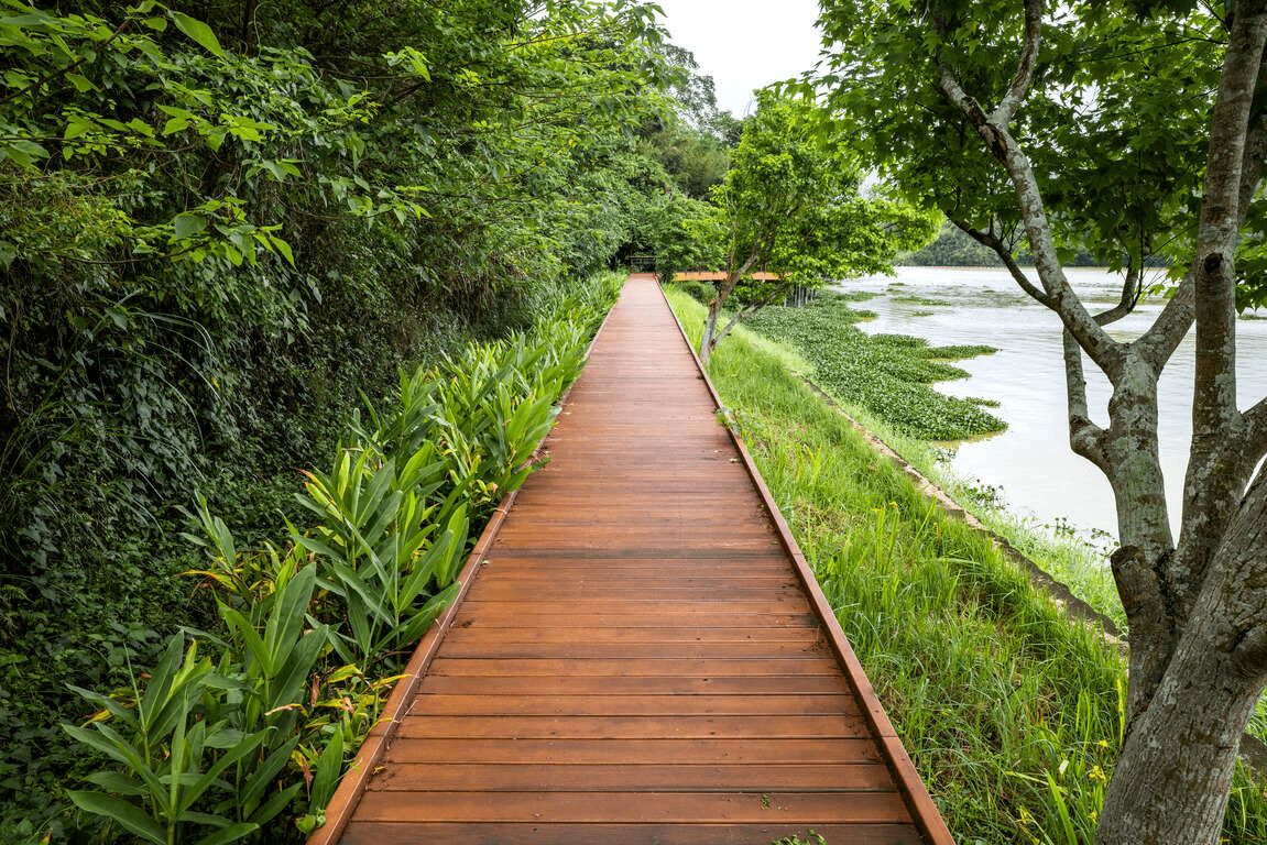 跟著午後陽光走進新竹峨眉湖，讓湖面亮起來的同時也慢慢安靜你的心