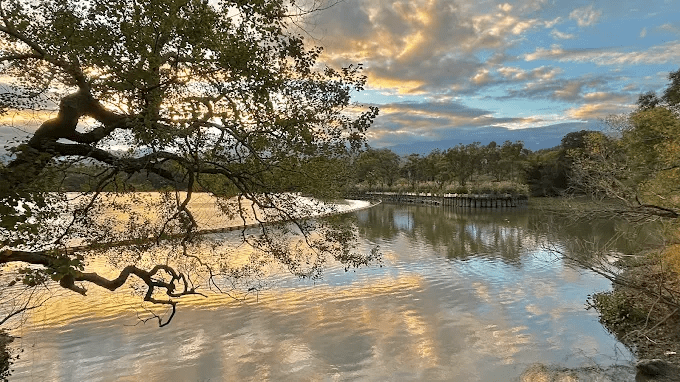 跟著午後陽光走進新竹峨眉湖，讓湖面亮起來的同時也慢慢安靜你的心