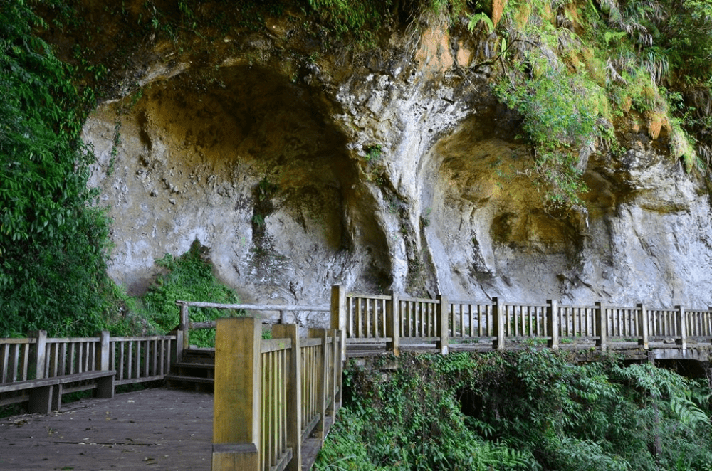 在杉林溪感受山林的溫度,在金黃林間散步,讓旅行變得輕盈而帶點心動