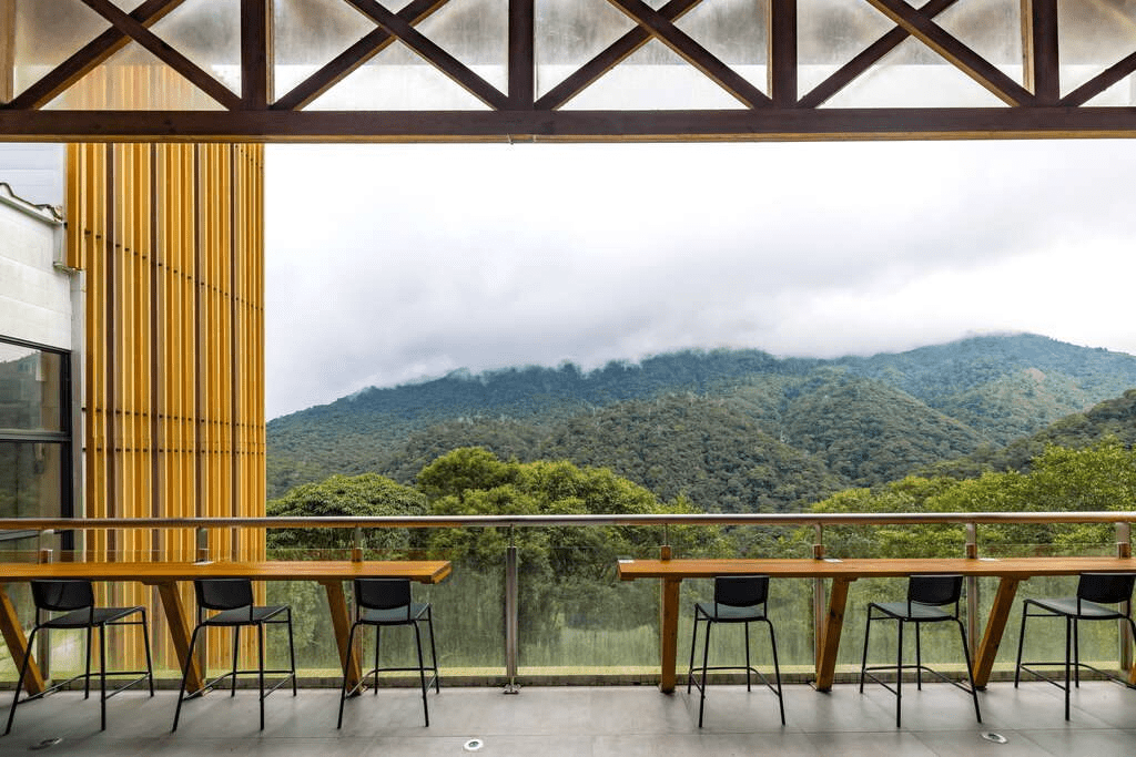沿著山路緩緩上行走進拉拉山的森林深處，在霧氣與巨木之間重新聽見大自然最溫柔的聲音