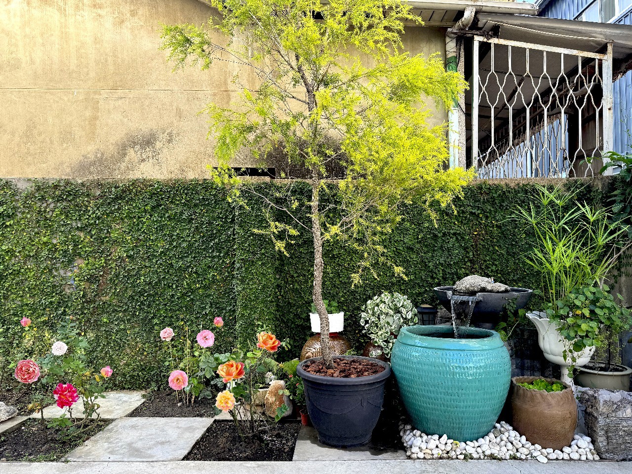 LINE_ALBUM_秋日午後甜點語言_251217_4