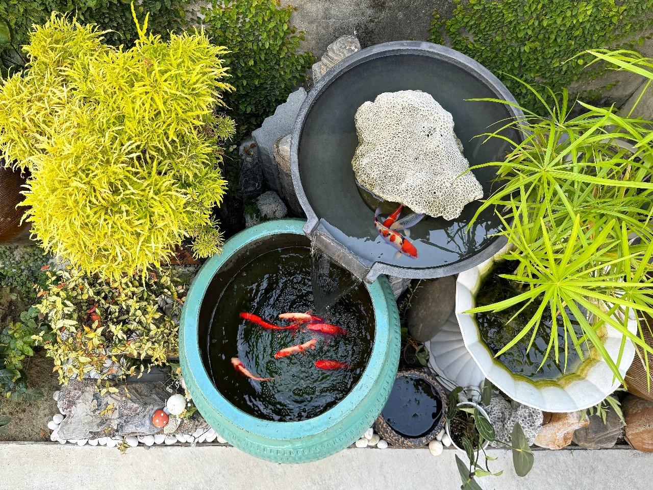 LINE_ALBUM_2周年慶限定包動優惠開跑!_251217_14