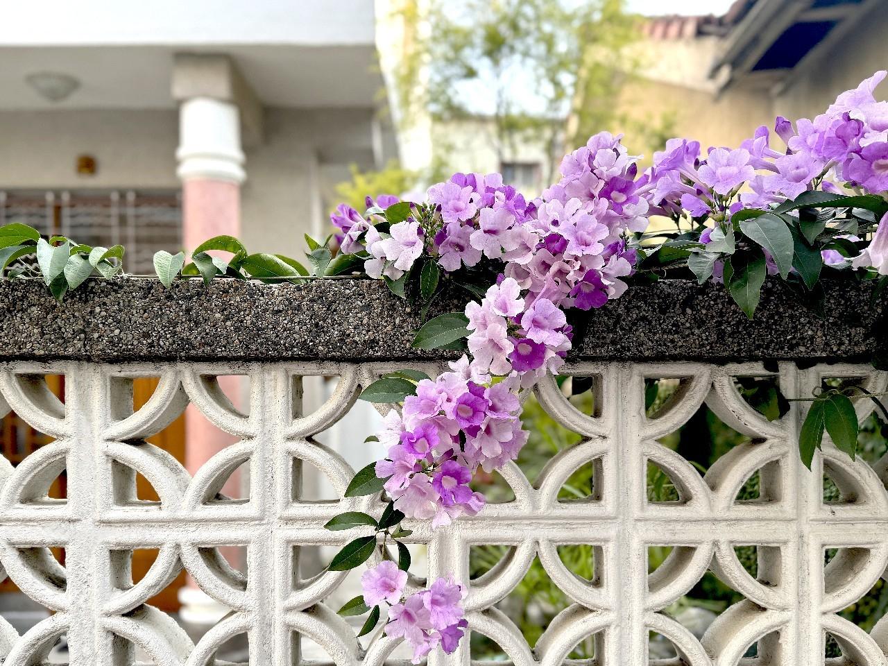 LINE_ALBUM_雙人平日包動優惠_251217_17