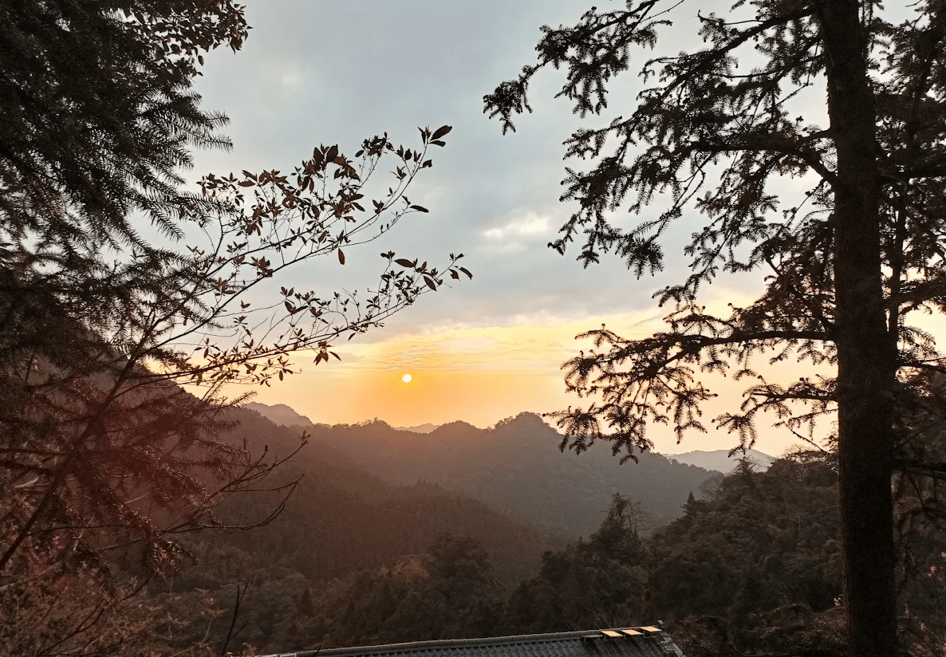 新竹五峰《風雅月筑・淇邑淇岄莊園》：森林系無菜單料理、手作體驗與療癒住宿的山林秘境