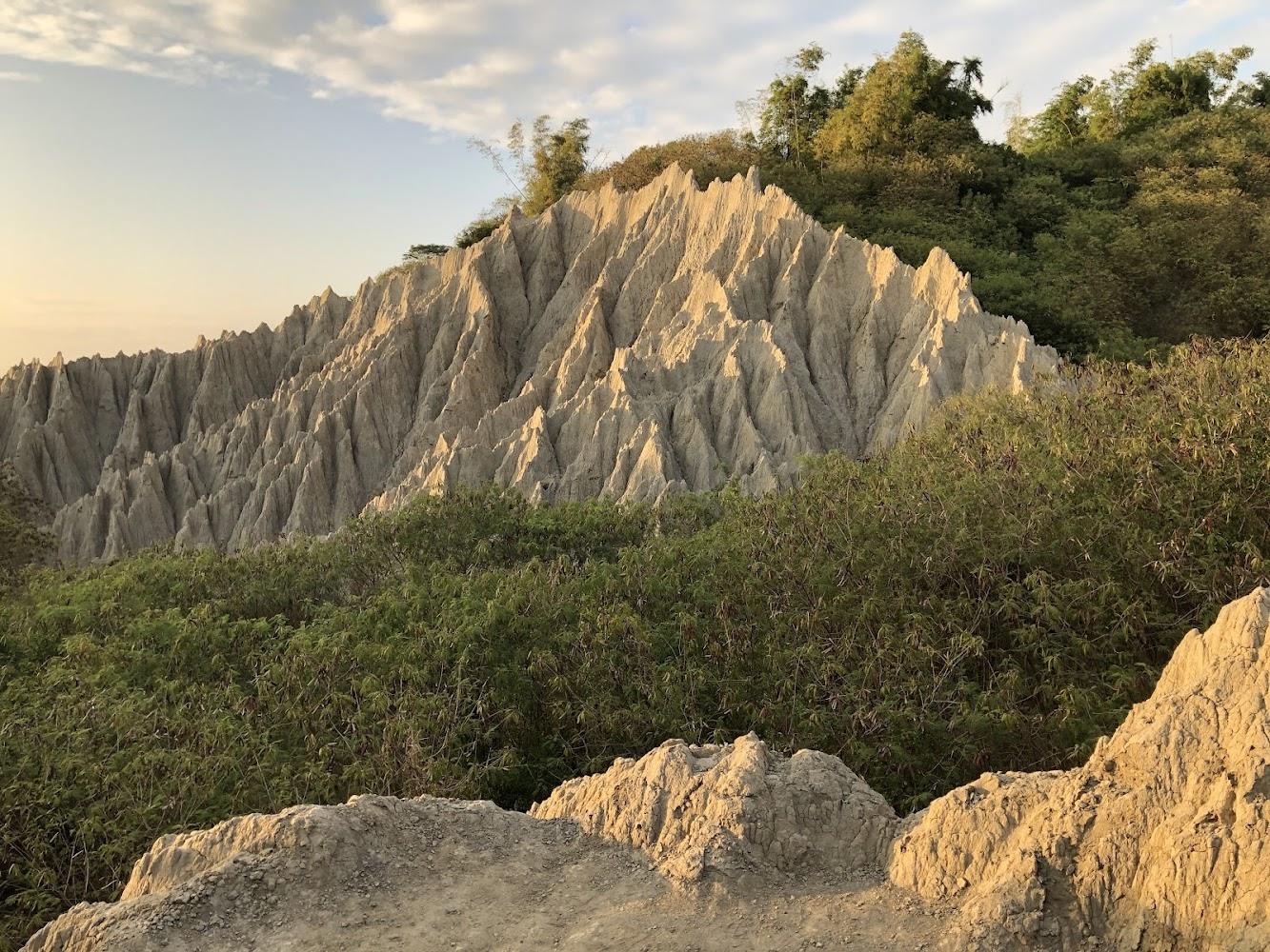 漯底山自然公園的步道｜高雄戶外景點：探索漯底山自然公園的隱藏魅力