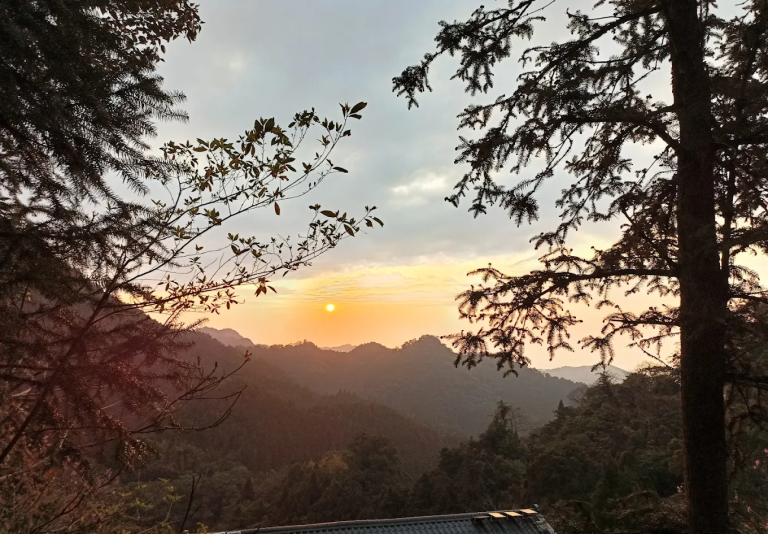 新竹五峰秘境|風雅月筑・淇邑淇岄莊園:山林中的無菜單料理、手作麻糬與森林住宿體驗