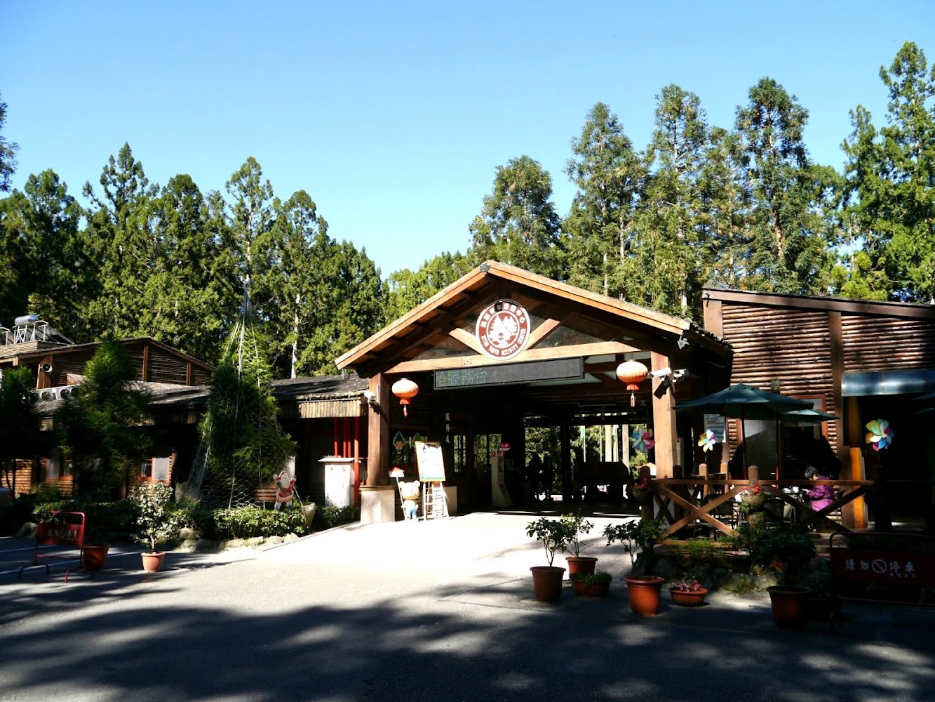 住宿選擇｜溪頭青年活動中心：讓你享受森林中的完美假期