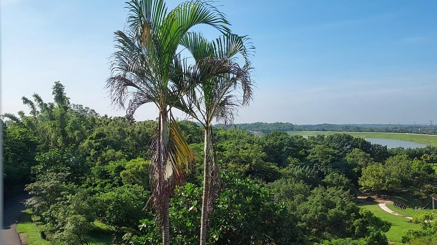 台南烏山頭湖境渡假會館｜湖景第一排！享受湖畔自然、KANO場景、免費單車與高CP值方案