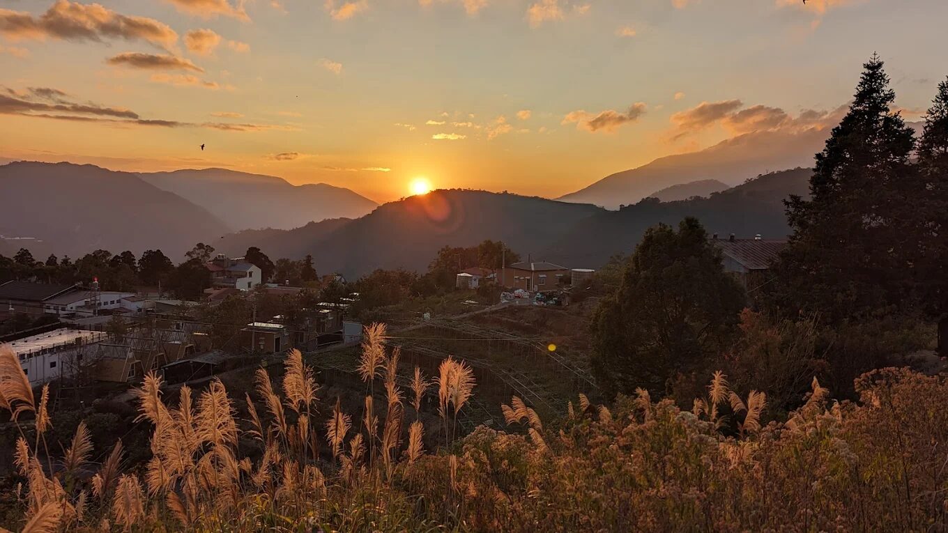 南投清境佳美渡假山莊住宿開箱：走進雲霧裡的森林木屋，山嵐茶香星空一次體驗