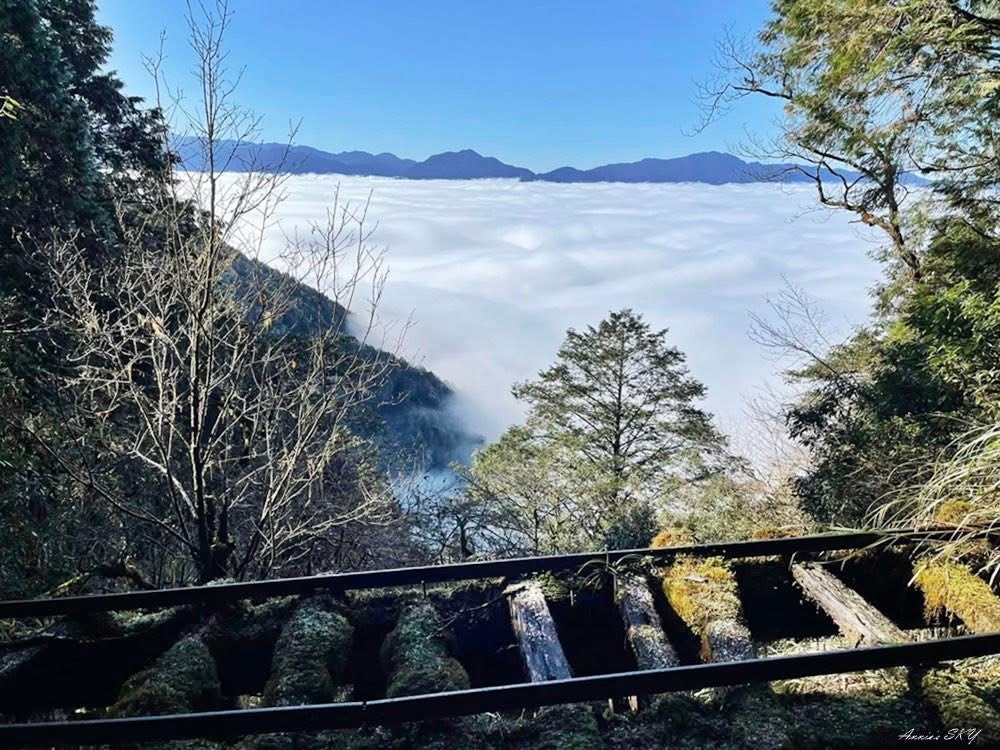 太平山森林祕境全攻略：見晴懷古步道、翠峰湖與金黃山毛櫸的療癒之旅