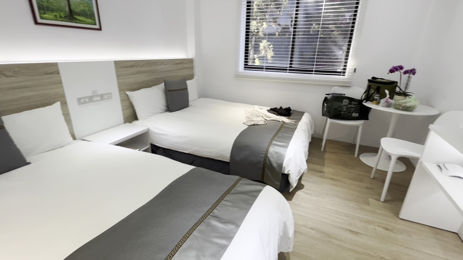 南投溪頭Success Banner銀杏樓｜一泊二食專案，入住森林系飯店享芬多精假期