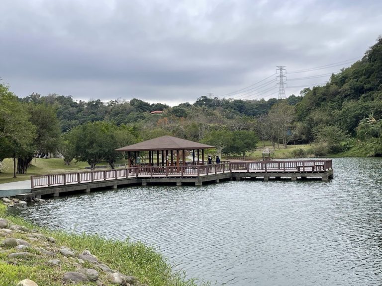 桃園龍潭三坑自然生態公園：環湖步道、綠意生態、親子同樂的療癒慢旅