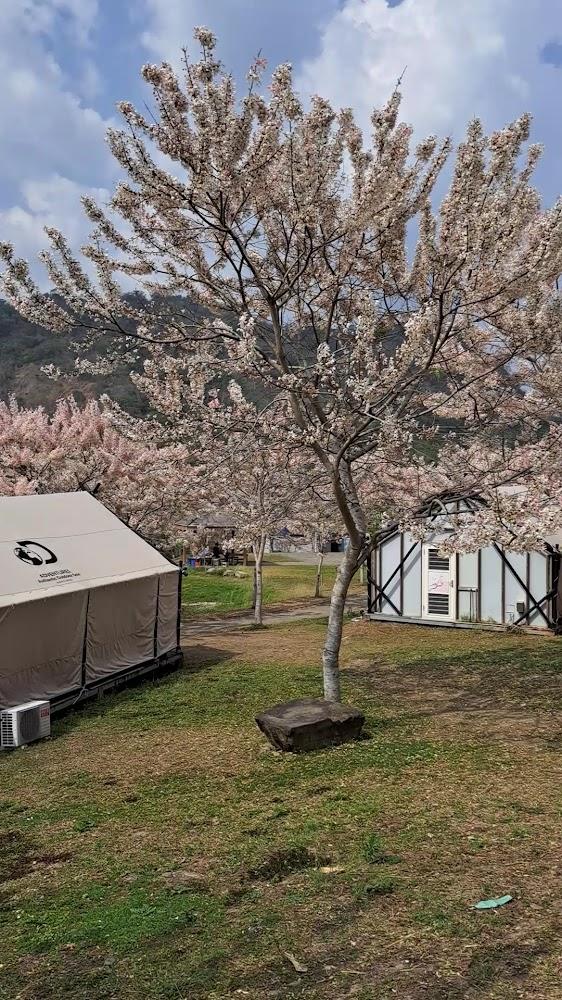 高雄六龜遠山望月溫泉風呂・露營區｜住帳篷賞星空泡美人湯的山谷療癒秘境