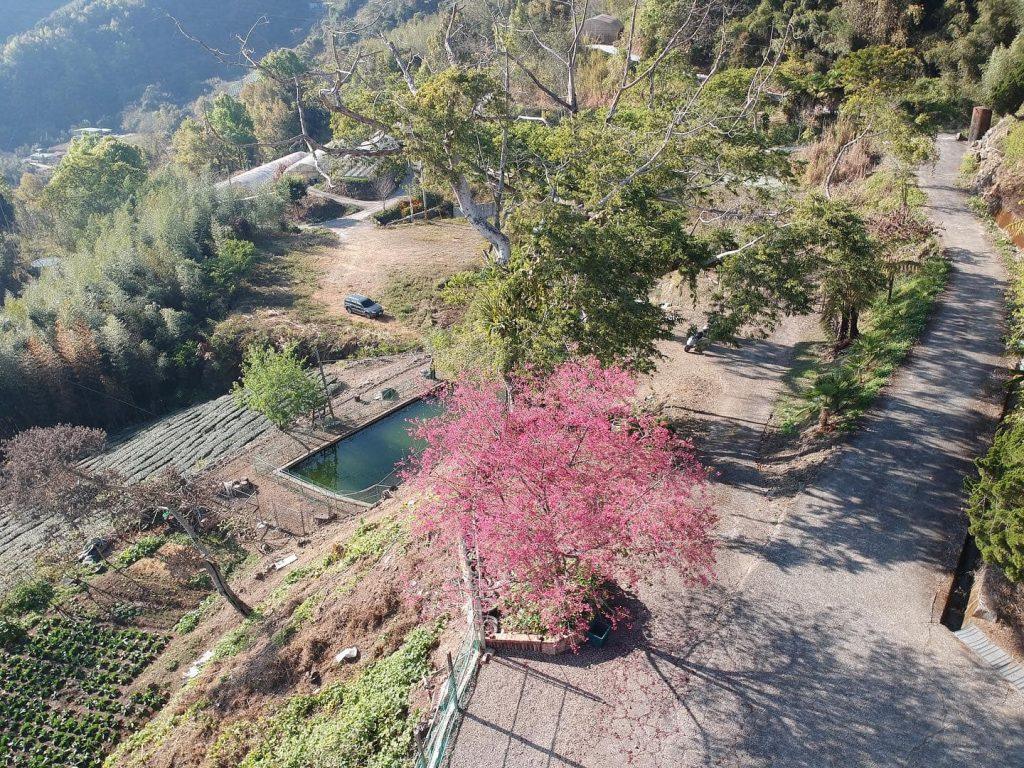 高美休閒營區雲海美景