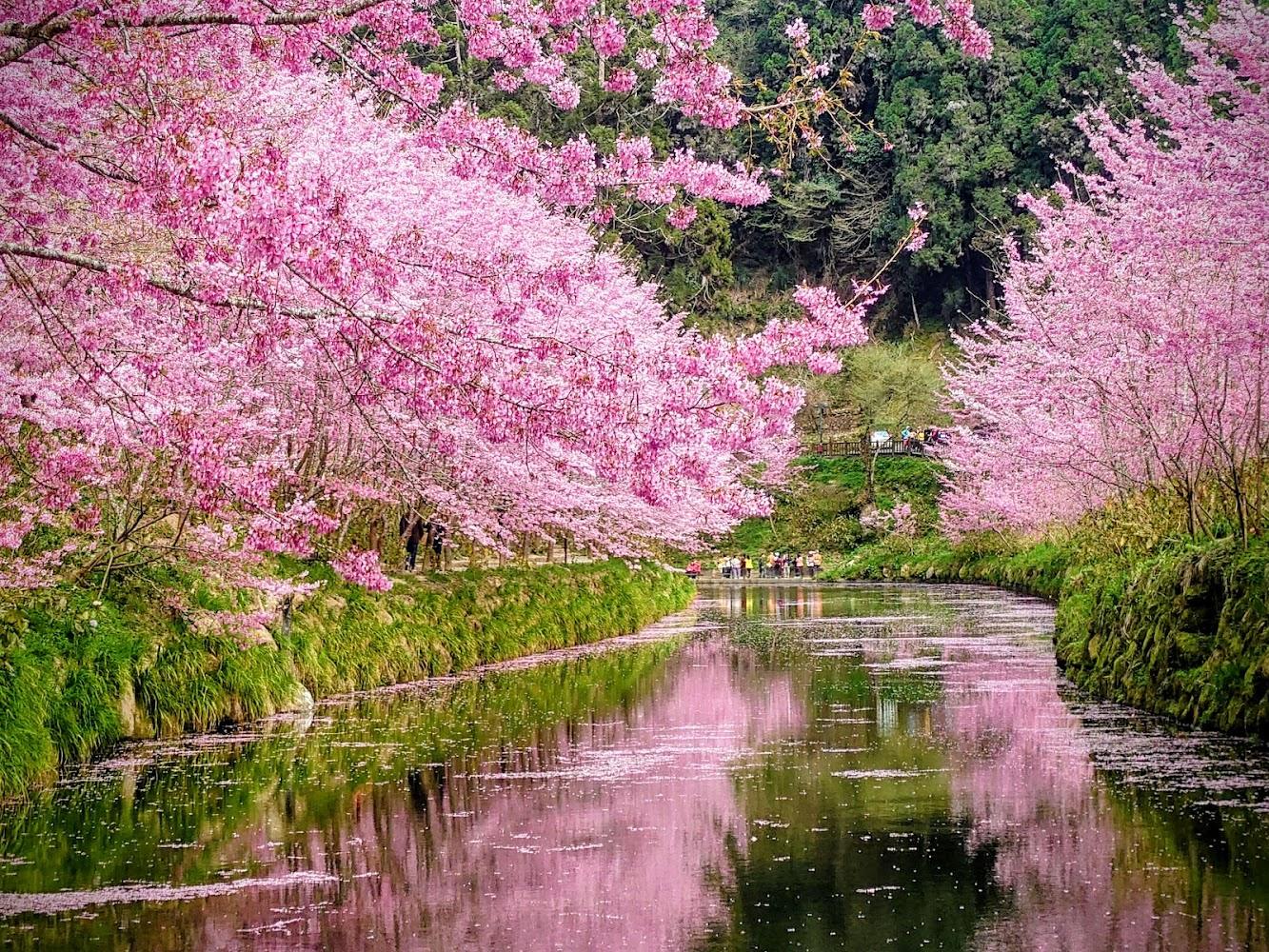 杉林溪森林遊樂園步道與景觀