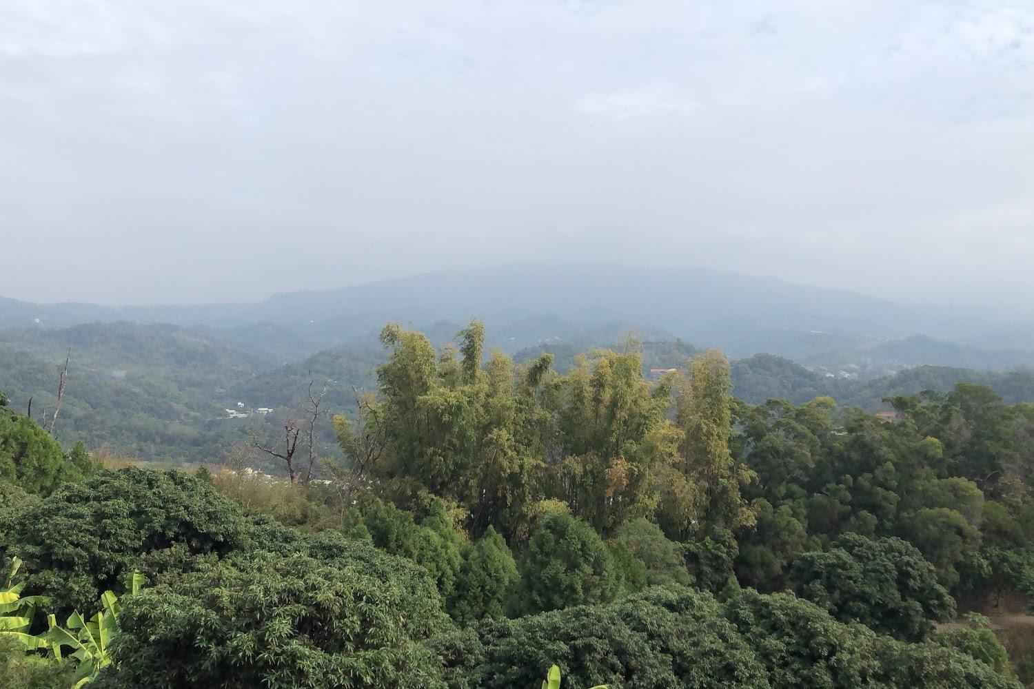 大坑9-1號步道的木棧道與階梯