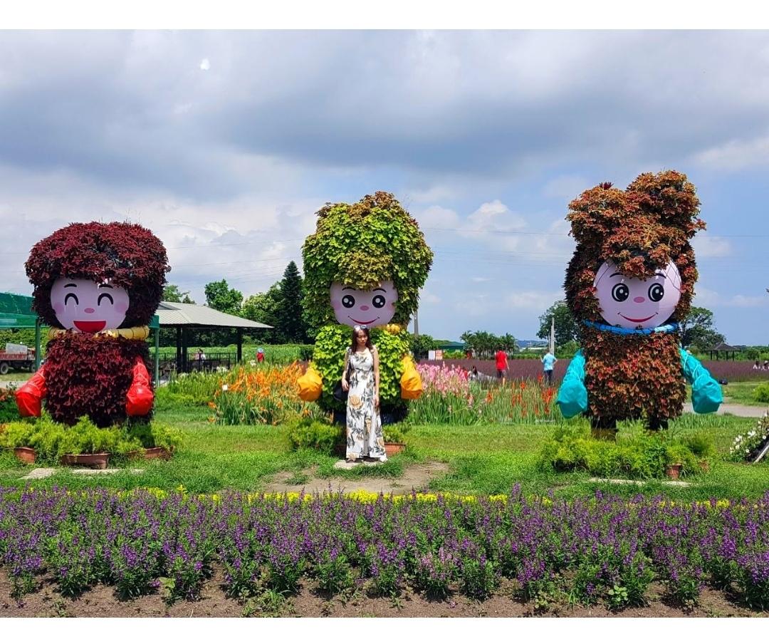 中社觀光花市花海