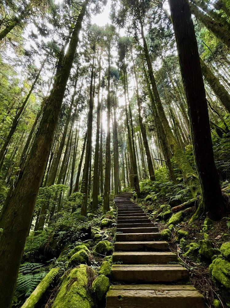 杉林溪石井磯壺穴景觀