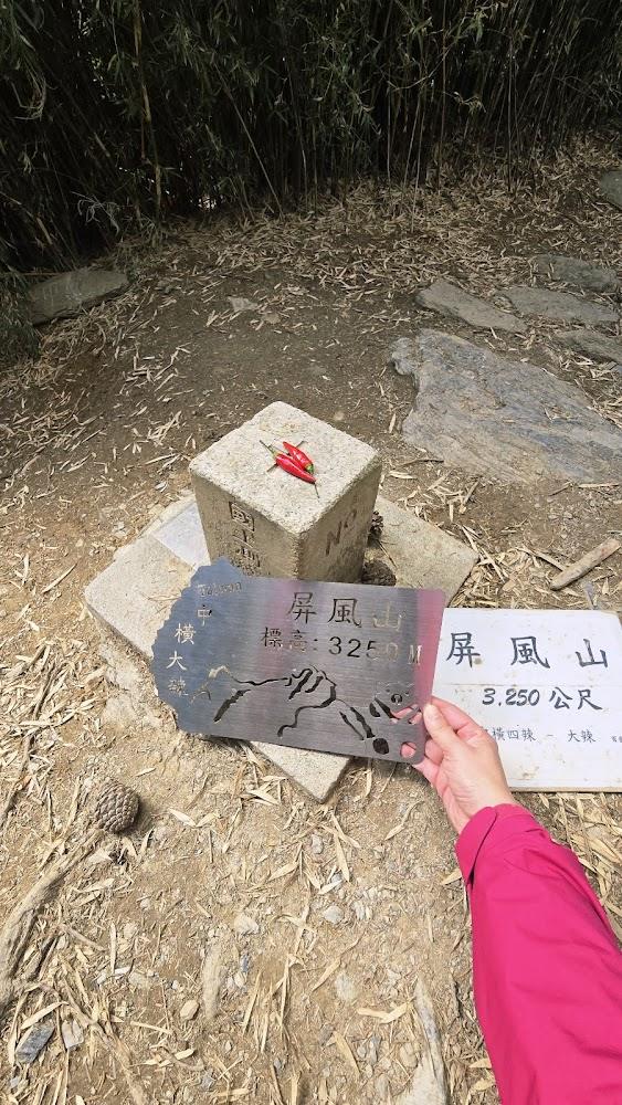 屏風山沿途的森林景觀