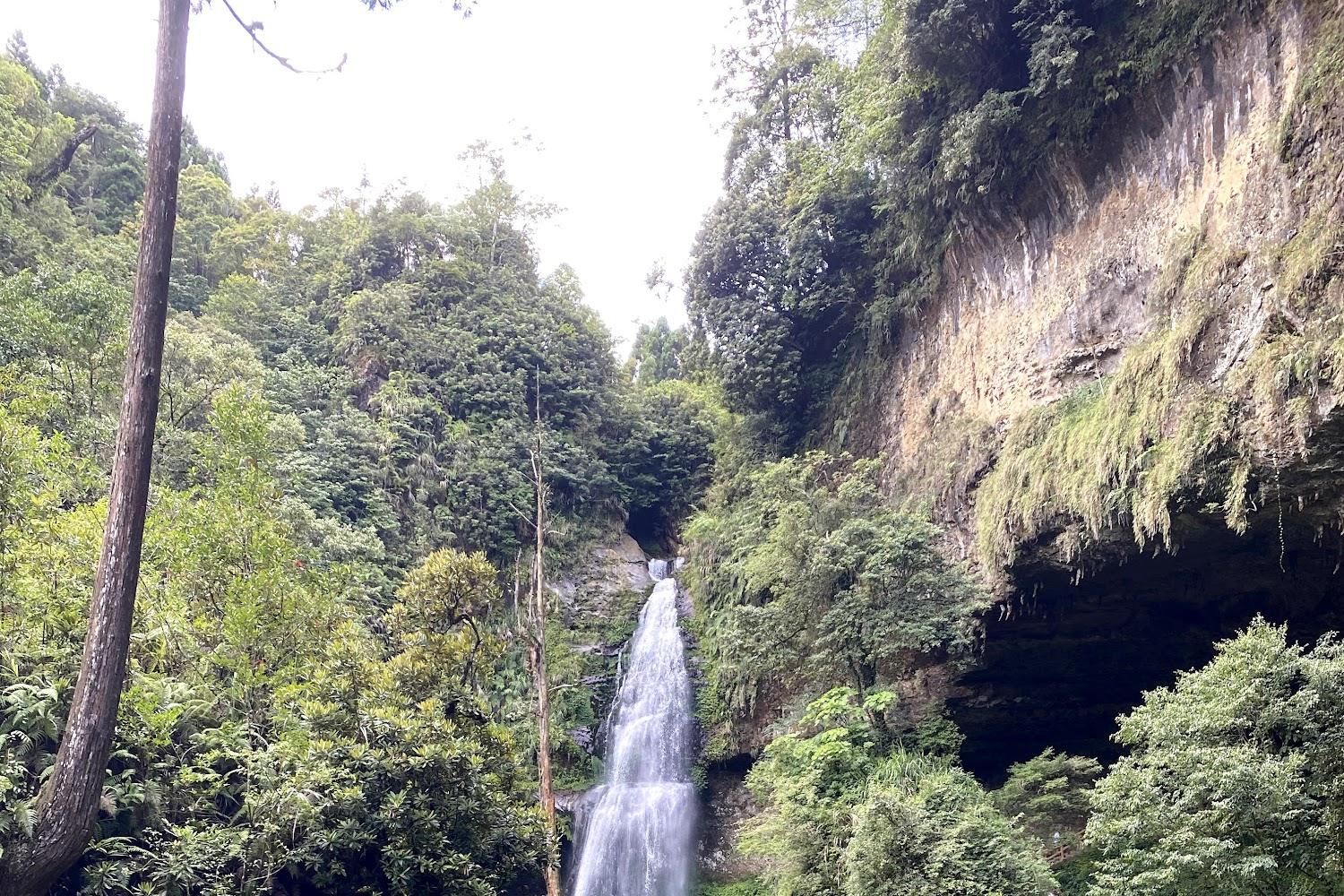 杉林溪森林生態渡假園區景觀