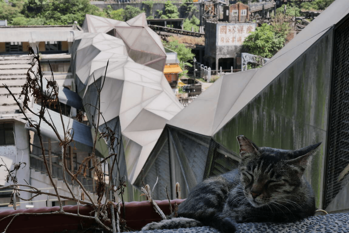 沿著新北的山城與海岸慢慢走，在老街、奇岩與貓村之間拍下一整天風景