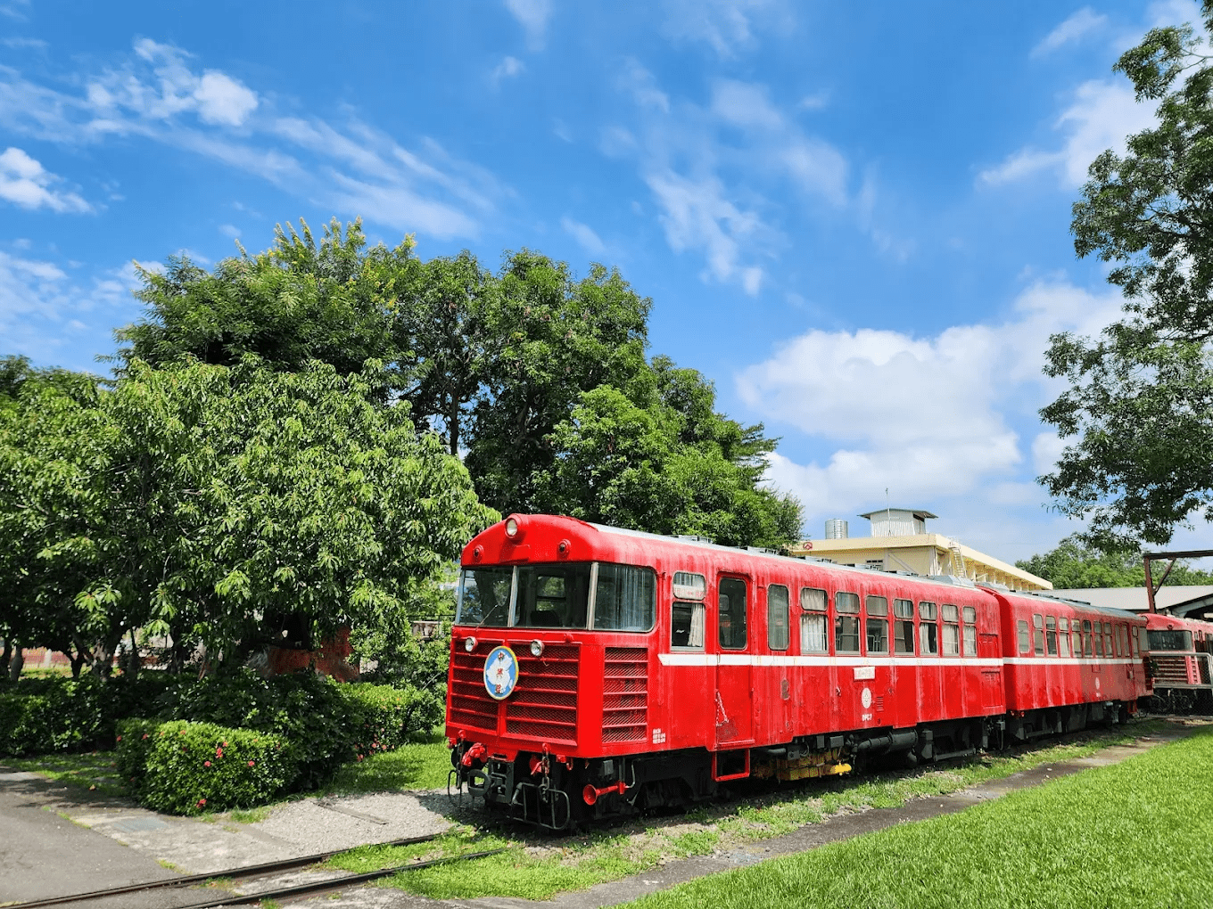不用上阿里山，也能感受林鐵魅力｜嘉義阿里山森林鐵路車庫園區