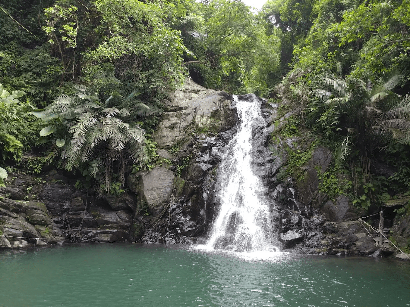 走進山林的清涼祕境｜屏東涼山瀑布，夏天一定要來一次的原始瀑布步道