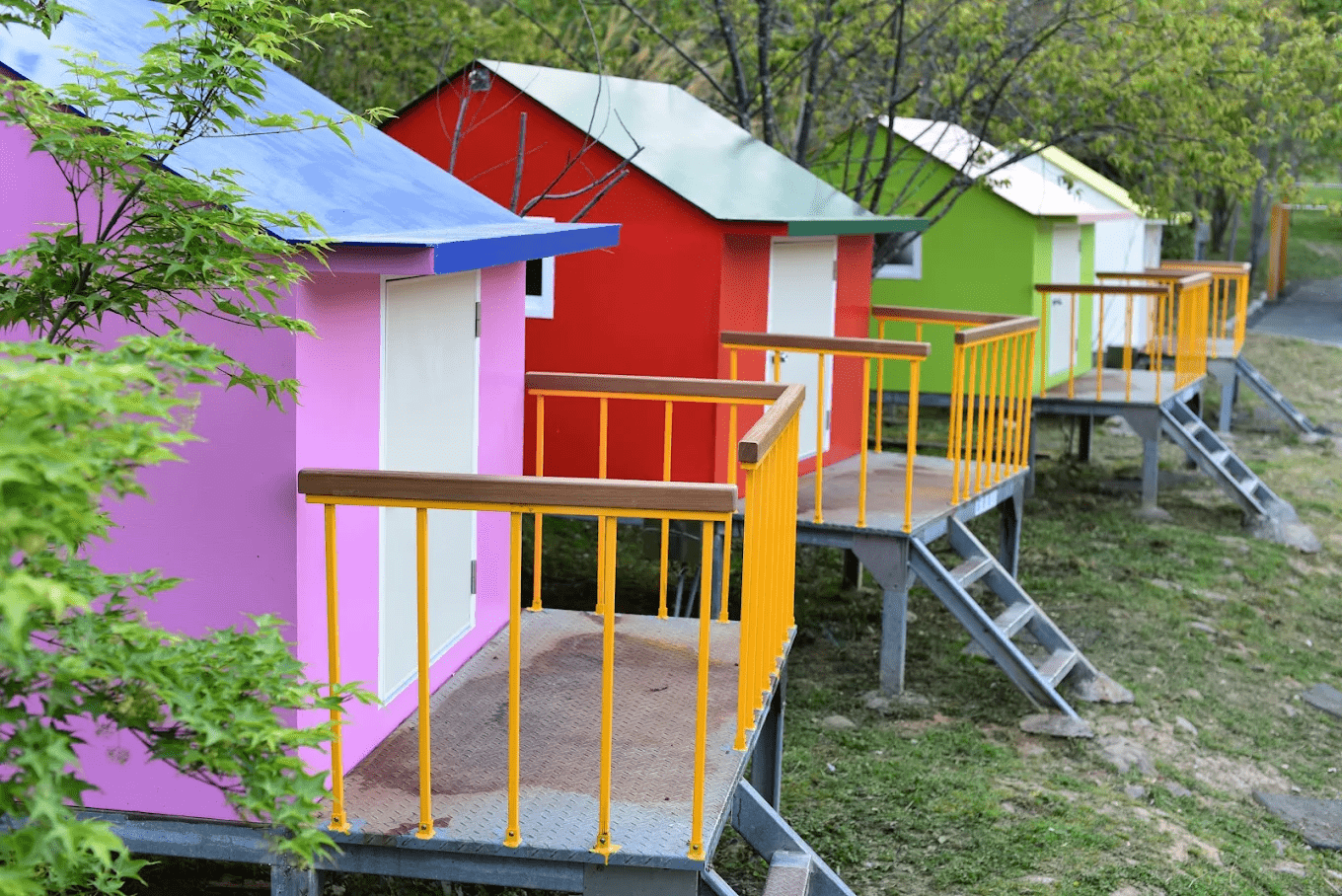 武陵農場露營區｜在雲霧與櫻花之間醒來的高山露營體驗