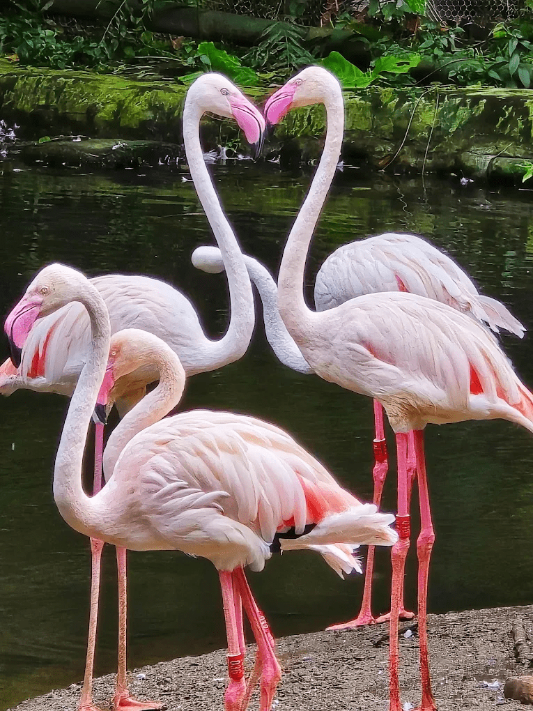 依山傍水的自然生態環境設計