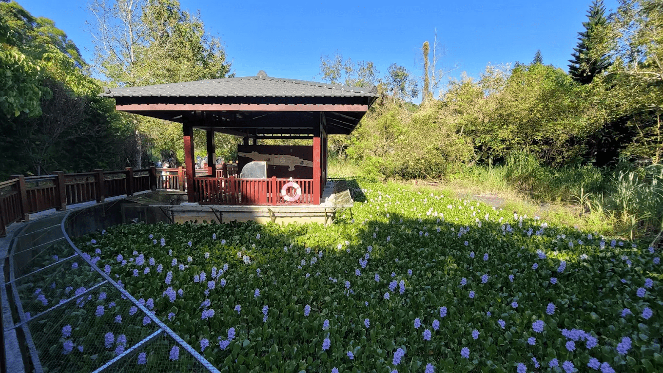 親子遊客在園區內開心互動的畫面