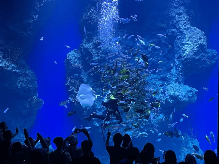 台中海洋館 Taichung Aquarium｜清水最新親子景點，走進海底世界的沉浸式體驗