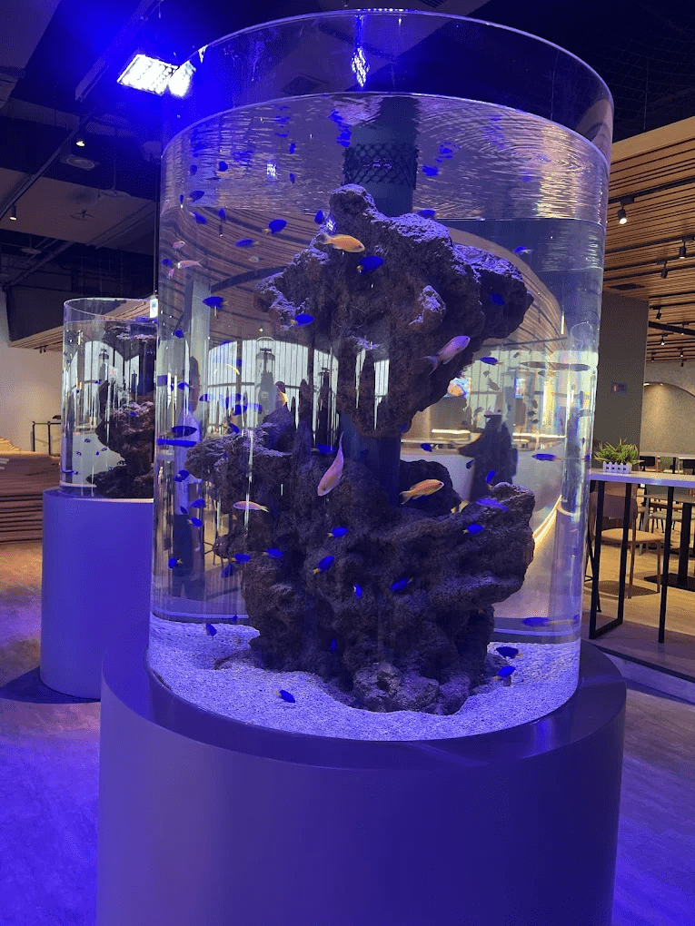 館內擁有多個主題展區，營造出身臨其境的深海氛圍