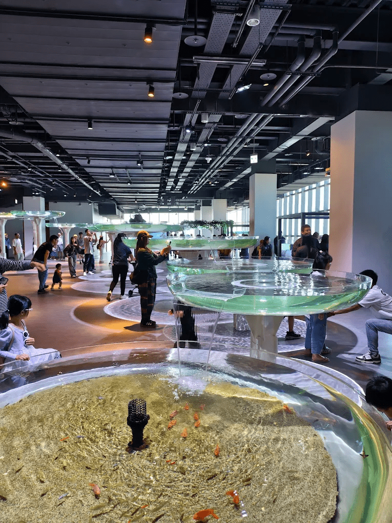 近距離觀察色彩繽紛的海洋生物，是孩子們的最愛