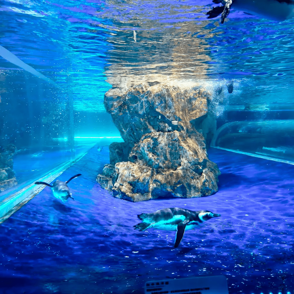 水母展區的夢幻光影，讓人彷彿置身異世界