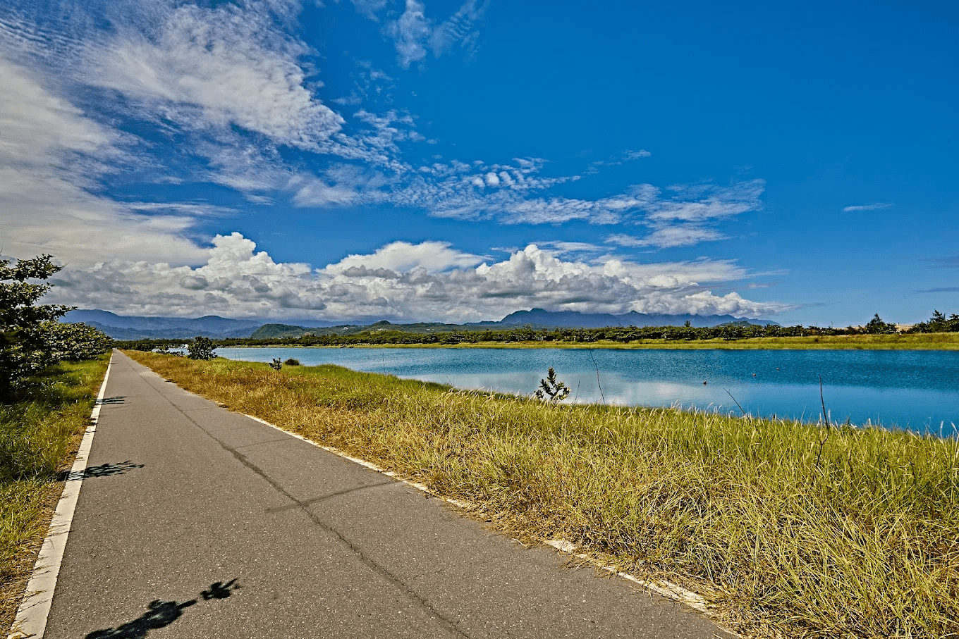 在地人私藏的台東日常風景：活水湖湖畔漫步超舒服