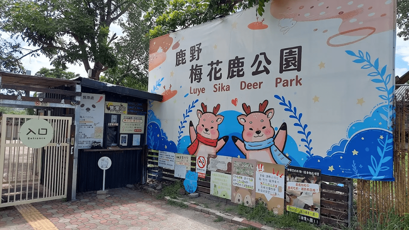 鹿野梅花鹿公園｜台東親子必訪療癒景點，近距離互動梅花鹿超可愛