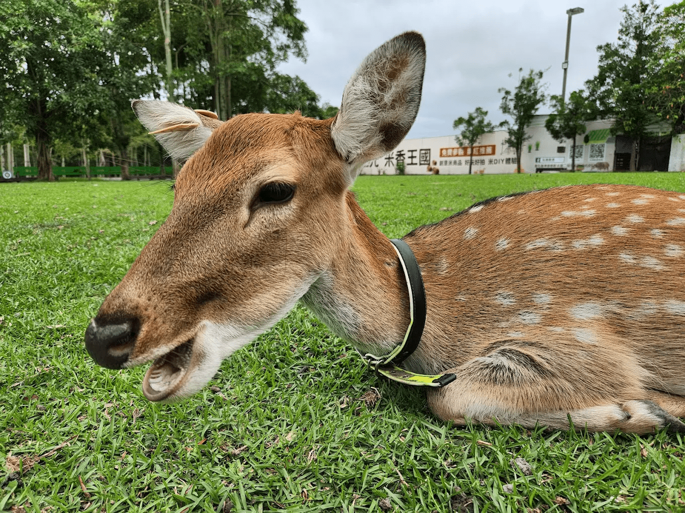 園區內溫馨的互動景象