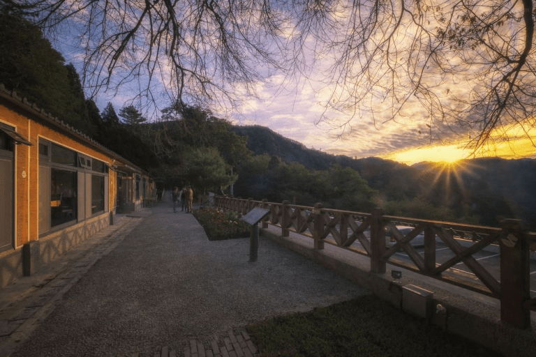 當夜晚只剩風聲與星光，住一晚觀霧山莊，讓聖稜線與雲海陪你慢慢醒來