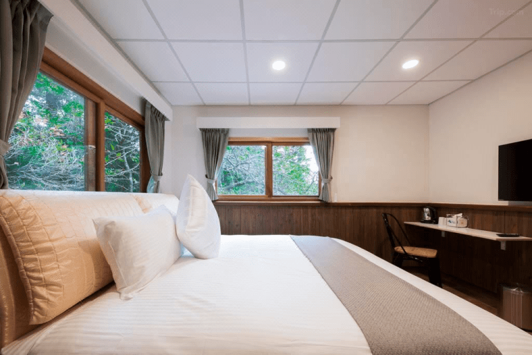 當夜晚只剩風聲與星光，住一晚觀霧山莊，讓聖稜線與雲海陪你慢慢醒來