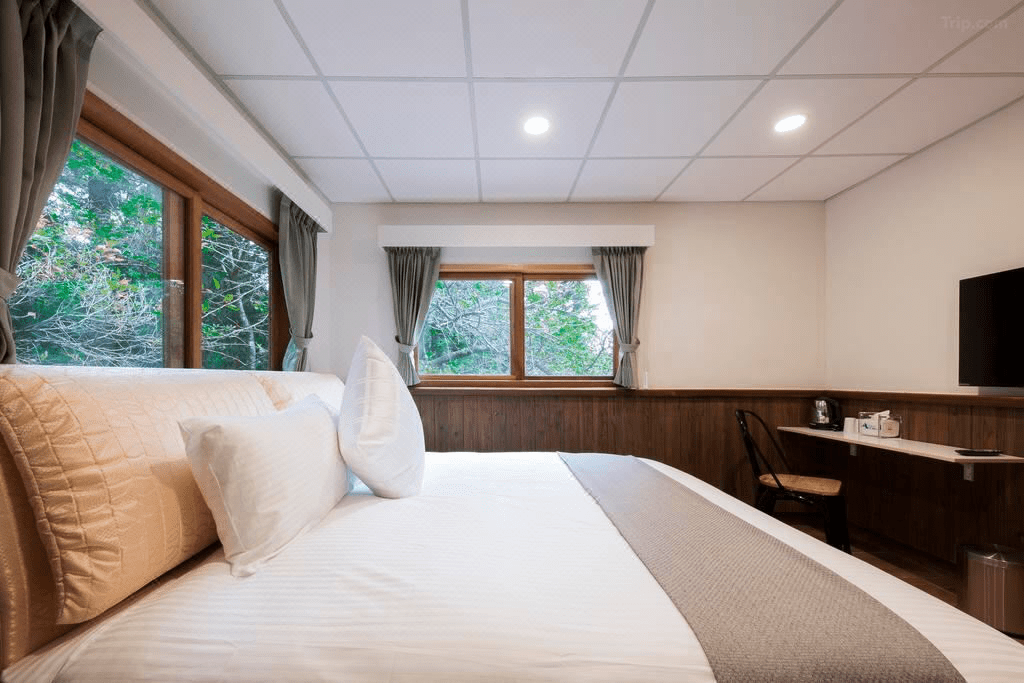 當夜晚只剩風聲與星光，住一晚觀霧山莊，讓聖稜線與雲海陪你慢慢醒來