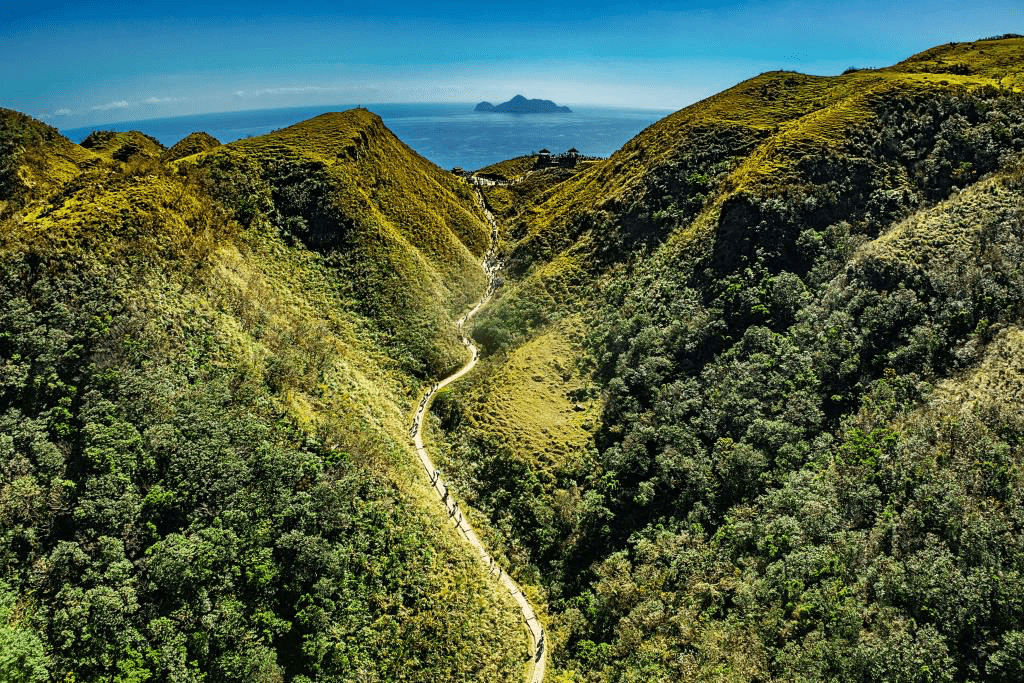當銀白芒花沿著山稜翻湧,走進草嶺古道,讓時間在山海與歷史之間流動