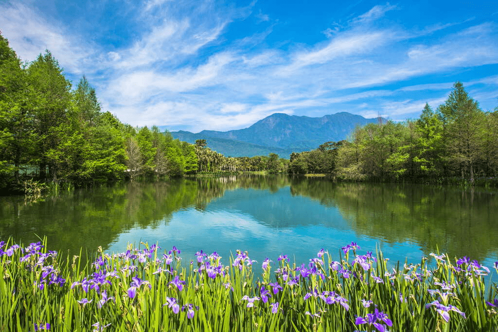 走進花蓮壽豐的午後風景，在雲山水夢幻湖看見光影與湖水交會的瞬間