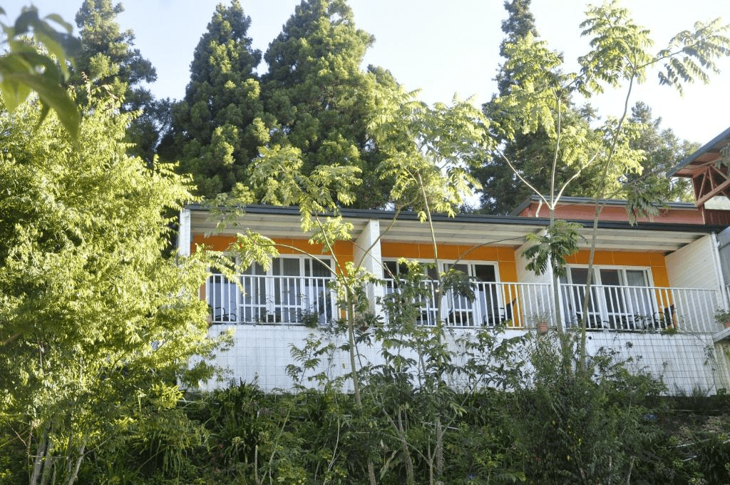 從日出到星空都在窗外，這份清境農場住宿整理適合想住進山裡的人